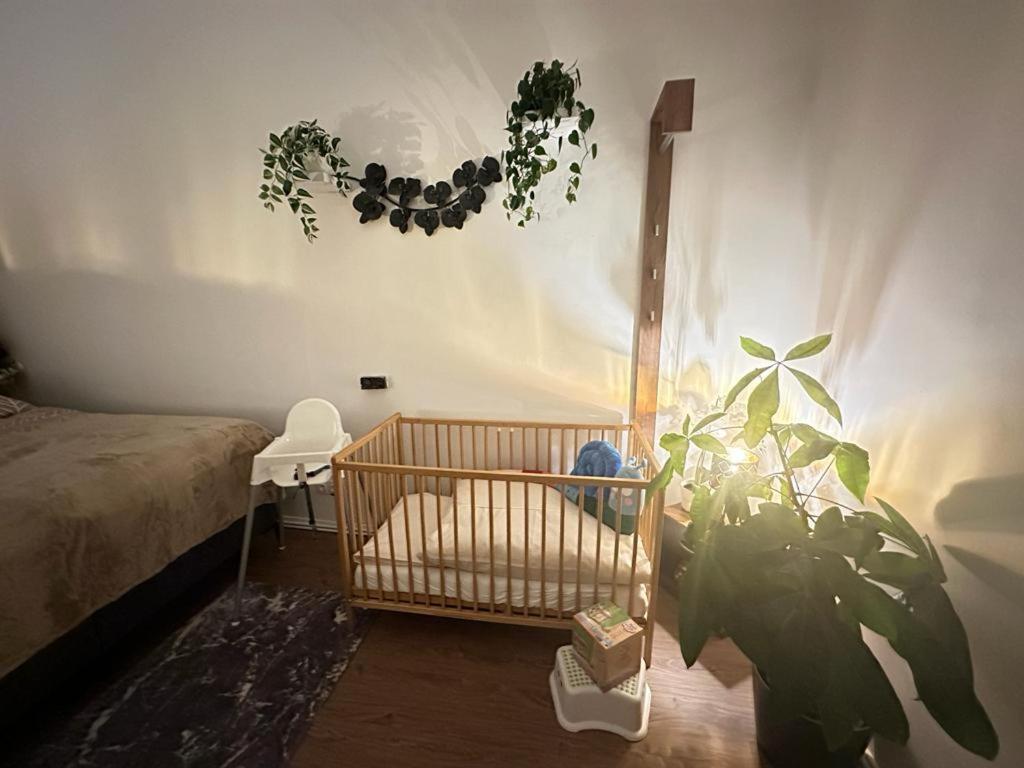Ferienwohnung Marion Klagenfurt Zentrumsnaehe Klagenfurt am Woerthersee Ngoại thất bức ảnh